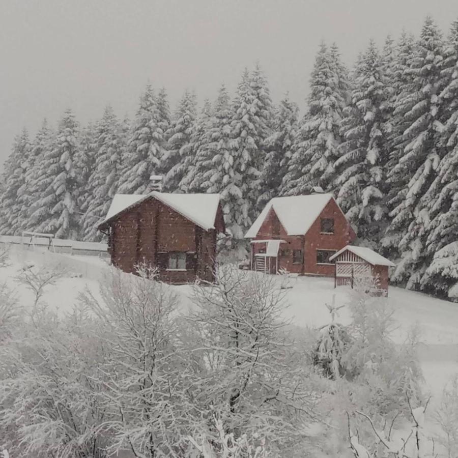 Sadyba Drymba Skhidnytsia エクステリア 写真