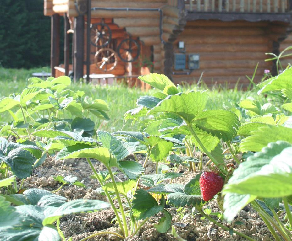 Sadyba Drymba Skhidnytsia エクステリア 写真