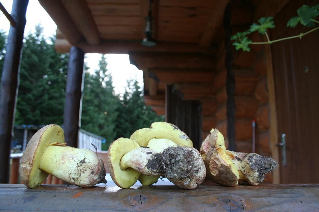Sadyba Drymba Skhidnytsia エクステリア 写真